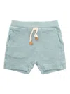 One More In The Family Light Blue Bermuda Shorts In Gray