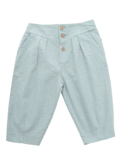 One More In The Family Light Green Trousers In Grey