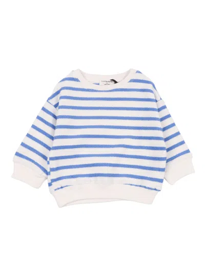 One More In The Family Sweater In Multi