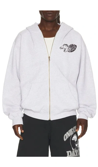 One Of These Days Days Usa Zip Up Hoodie In Gray