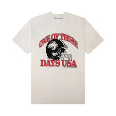 Pre-owned One Of These Days Usa T-shirt 'bone' | White | Men's Size Xl