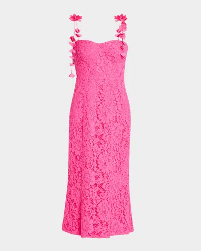 One33 Social Applique-embellished Lace Midi Dress In Fuchsia