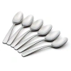 Oneida Aptitude Dinner Spoons, S/6
