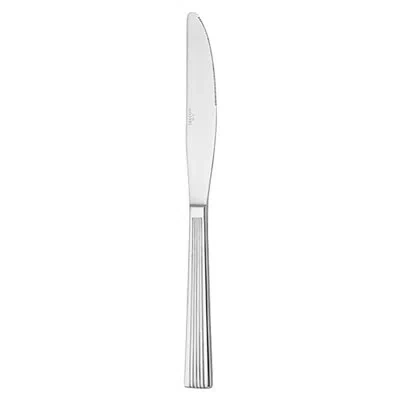 Oneida Brayleen Dinner Knives By Delco (18/0)
