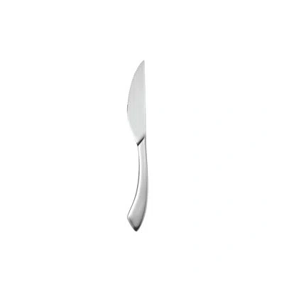 Oneida Hospitality 12 Piece Steak Knife Set In Silver