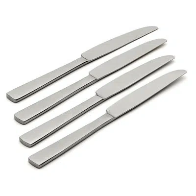 Oneida Nocha Everyday Flatware Dinner Knives In Silver
