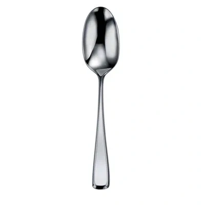 Oneida Perimeter Oval Bowl Soup Spoons By  (18/10)