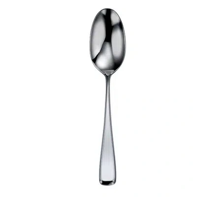 Oneida Perimeter Serving Spoons By  (18/10)