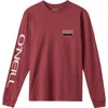 O'neill Banner Long Sleeve Cotton Graphic T-shirt In Burgundy