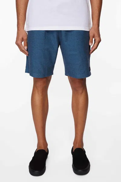 O'neill Bavaro Solid Shorts In Pacific In Blue