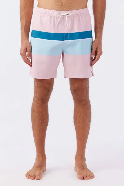 O'neill Block Volley Elastic Waist 17" Swim Trunks In Pink Dust In Red