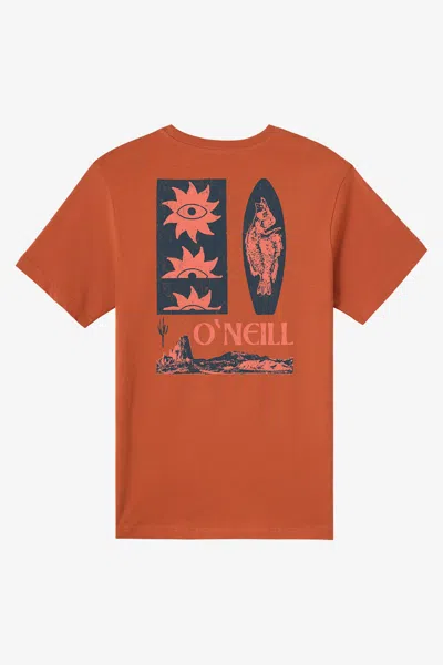O'neill Boy's Elsinore T-shirt In Purple