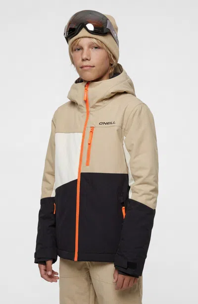O'neill Boy's Fwc Cruz Triple Snow Jacket In Multi