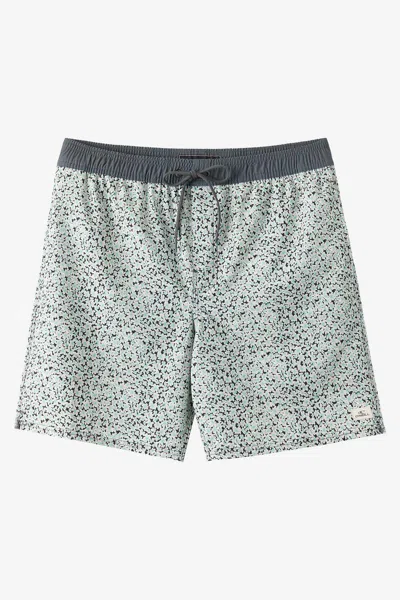 O'neill Boy's Hermosa Elastic Waist Lined 16" Swim Trunks In Gray