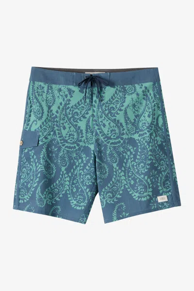 O'neill Boy's Lineup 16" Board Shorts In Multi