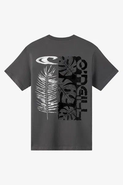 O'neill Boy's Monstera Classic T-shirt In Gray