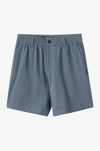 O'neill Boy's Reserve Light Check Elastic Waist 16" Hybrid Shorts In Purple