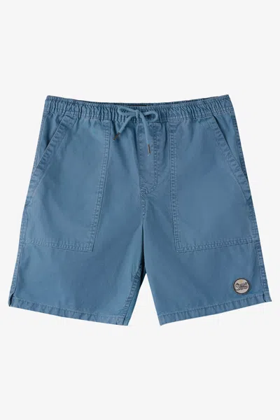 O'neill Boy's Ronan Field Shorts In Blue