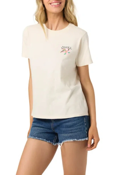 O'neill Cabana Fill Graphic T-shirt In Tapioca