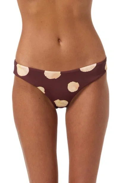 O'neill Camila Shells Lagoon Bikini Bottoms In Chocolate
