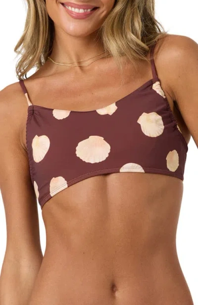 O'neill Camila Shells Rockview Bikini Top In Chocolate