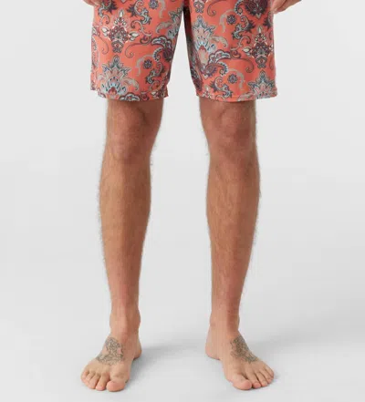 O'neill Cruzer Boardshorts In Auburn In Orange