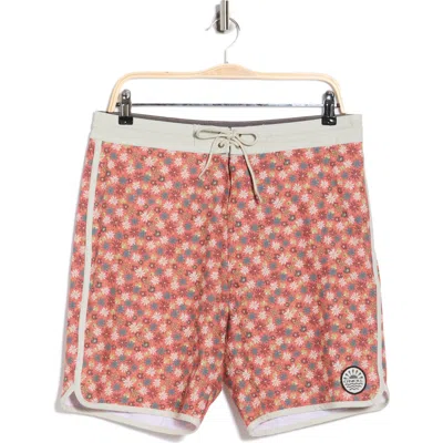 O'neill Cruzer Scallop Swim Trunks In Orange