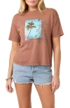 O'neill Doodles Easy Graphic T-shirt In Brown