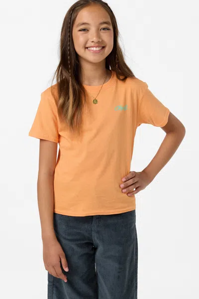 O'neill Girl's  Surf Angie T-shirt In Pattern
