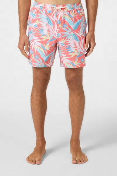 O'neill Hermosa E Waist Swim Trunks In Peach Echo In Multi