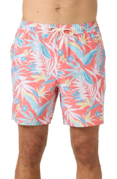O'neill Hermosa Elastic Waist Swim Trunks In Peach Echo
