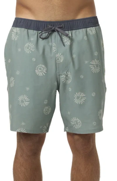 O'neill Hermosa Swim Trunks In Green