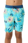 O'neill Kids'  Hermosa Swim Trunks In Turquoise