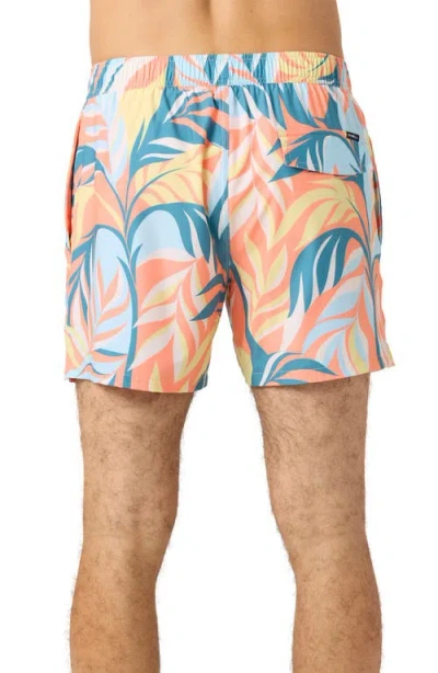 O'neill Hermosa Volley Swim Trunks In Multi