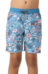 O'neill Kids'  Hermosa Volley Swim Trunks In Copen Blue