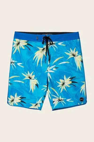 O'neill Hyperfreak Expression Boardies In Light Blue