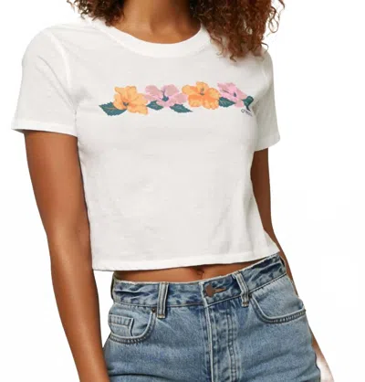O'neill Juniors Hibiscus Cotton Cropped T-shirt In White