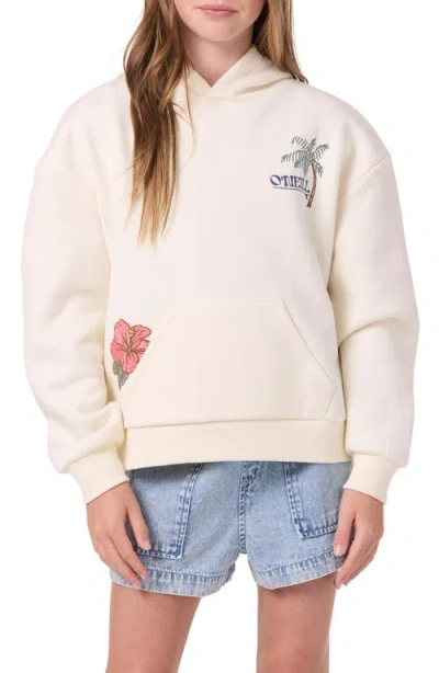 O'neill Kids' Asher Embroidered Hoodie In Neutral