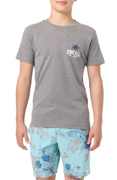 O'neill Kids' Axelrad Graphic T-shirt