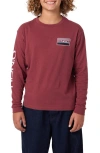 O'neill Kids' Banner Long Sleeve Cotton Graphic T-shirt In Burgundy