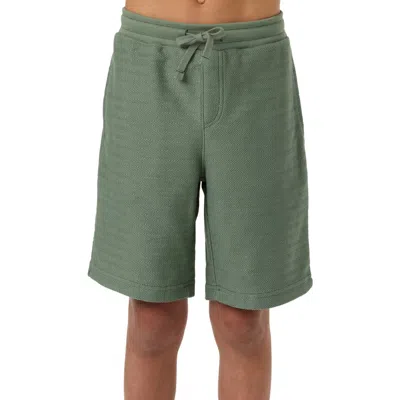 O'neill Kids' Bavaro Solid Shorts In Green