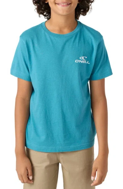 O'neill Kids' Blended Cotton Graphic T-shirt In Stormy