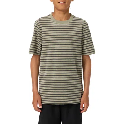 O'neill Kids' Frontiers Stripe Terry Cloth T-shirt In Gray