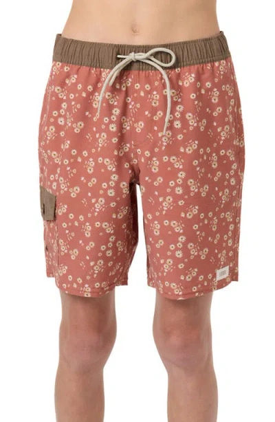 O'neill Kids' Hermosa Retro Swim Trunks In Brown