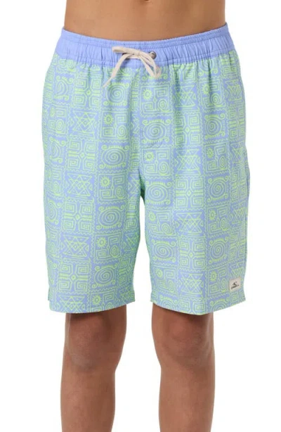 O'neill Kids' Hermosa Swim Trunks In Blue