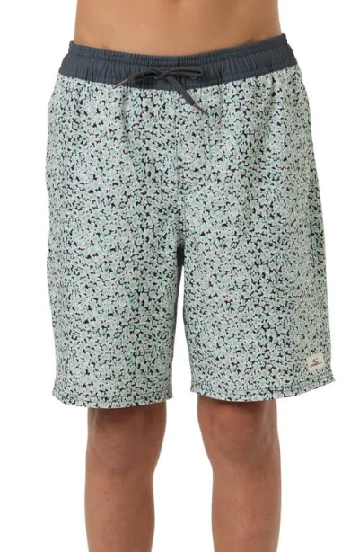 O'neill Kids' Hermosa Swim Trunks In Green