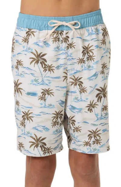 O'neill Kids' Hermosa Swim Trunks In Multi