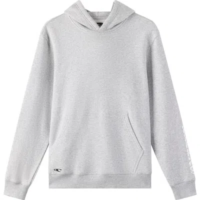 O'neill Kids' Isolate Classic Fleece Hoodie In Heather Grey