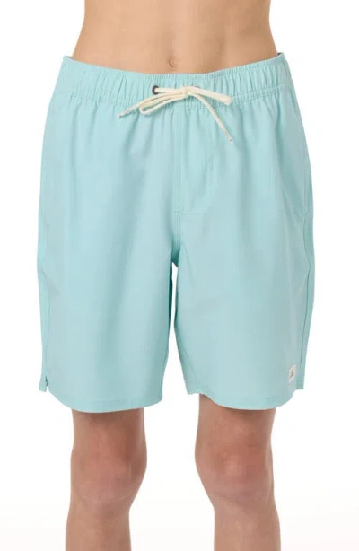 O'neill Kids' Lennox Hermosa Solid Volley Swim Trunks In Blue