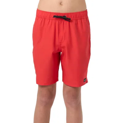 O'neill Kids' Lennox Hermosa Volley Swim Trunks In Red